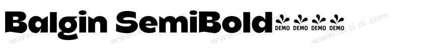 Balgin SemiBold字体转换